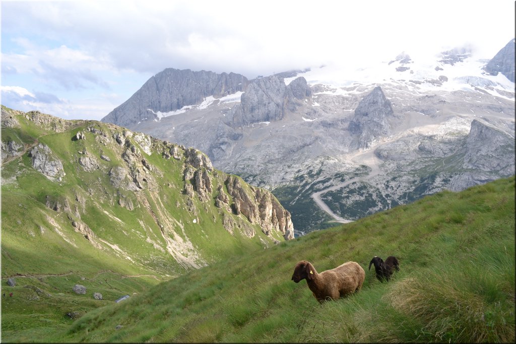 120706-Dolomiti-131_Nikon.JPG