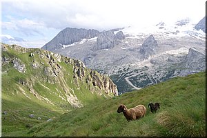 120706-Dolomiti-131_Nikon.JPG