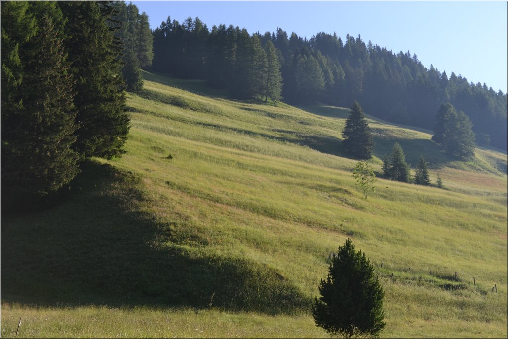 120708-Dolomiti-215_Nikon.JPG