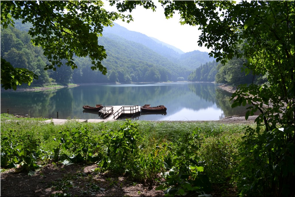 120807-Balkan-1239-BiogradskaGora.JPG