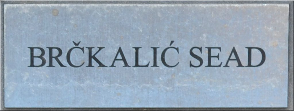 120810-Balkan-1805c-BrckalicSead.jpg