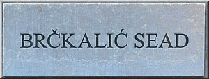 120810-Balkan-1805c-BrckalicSead.jpg