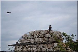 120810-Balkan-1818.JPG