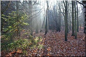 121119-Ostrov-107.JPG