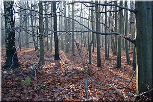 121119-Ostrov-109.JPG