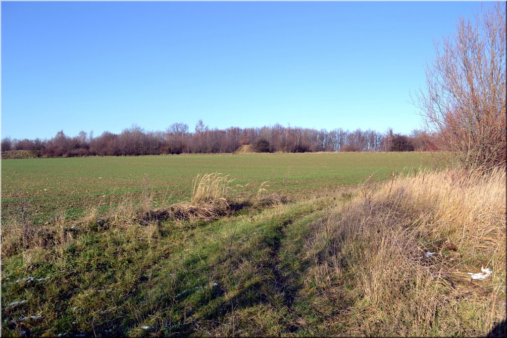 121201-Cibulka-06.JPG