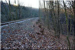 121201-Cibulka-21.JPG