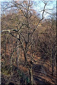 121201-Cibulka-27.JPG