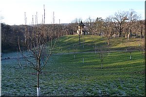 121201-Cibulka-29.JPG