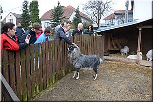 130419-2Kozy-AqVinoMorava-6513.jpg