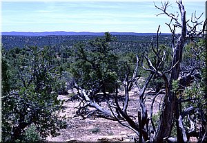 130525-USA-4kolky-0974_exposurecrop.jpg