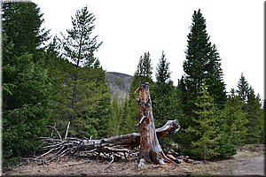 130601-USA-1Colorado-1885.JPG