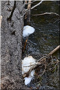 130601-USA-1Colorado-1897.JPG