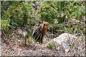 130601-USA-1Colorado-1903c.jpg
