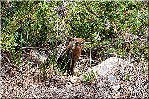 130601-USA-1Colorado-1903c.jpg