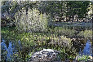 130601-USA-5SpragueLake-2020.JPG