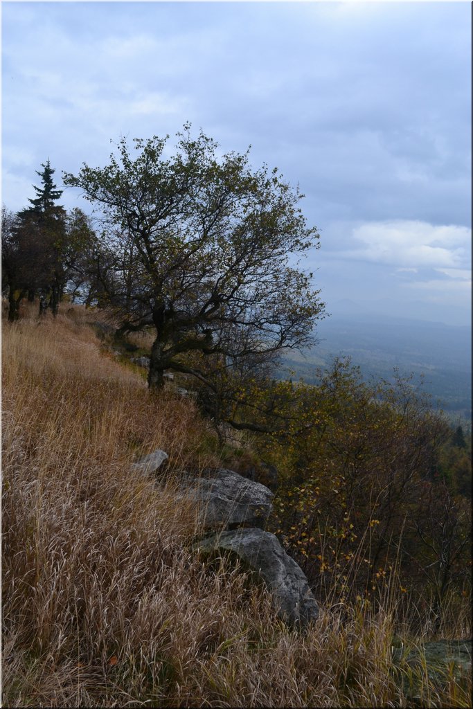 131021-Ostrov-195.JPG