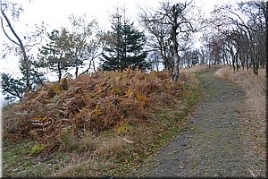 131021-Ostrov-140.JPG