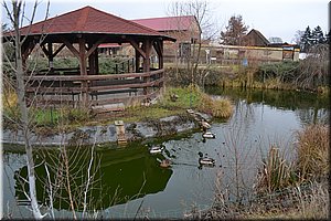 131227-Vyskov-ZOOpark-038.JPG