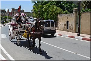 140430-Maroko-0358Meknes.JPG