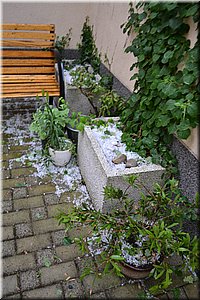 140523-kroupyManovka-8.JPG