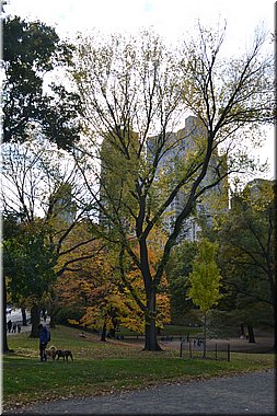 141030-USA-NYC-292.JPG