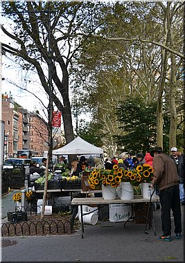 141102-USA-NYC-591rc.jpg