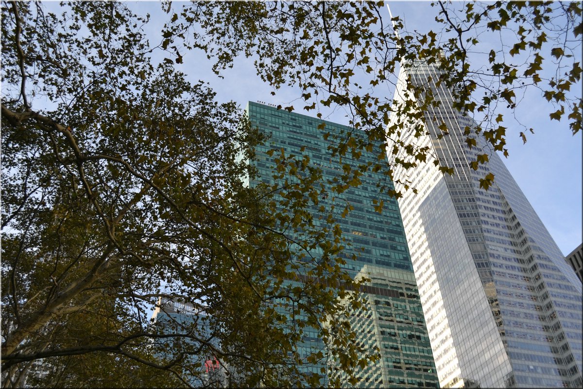 141102-USA-NYC-707.JPG