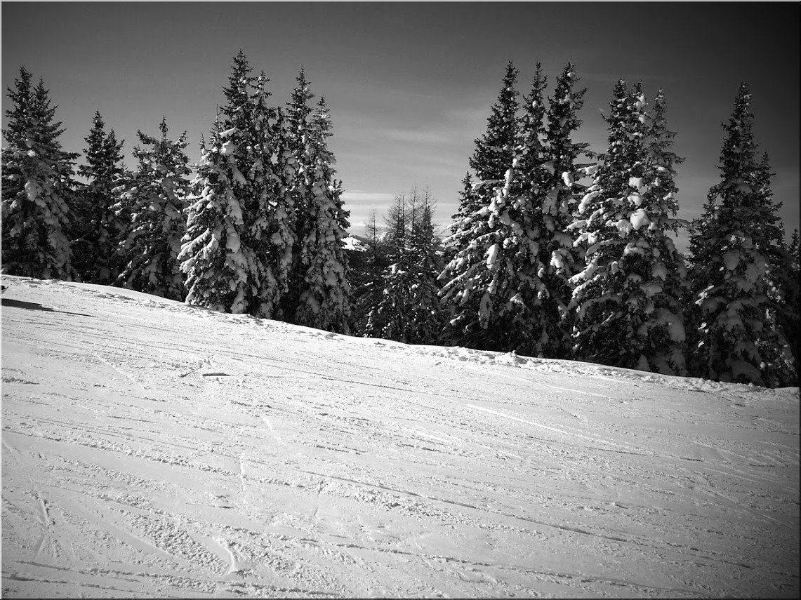 160120-Schladming-stromy-sepiaCrop.jpg