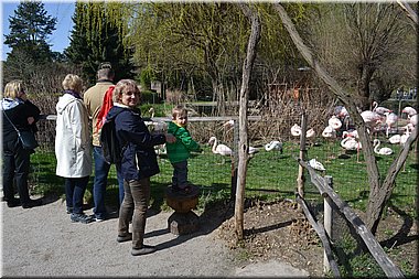 160402-ZOO-039.JPG