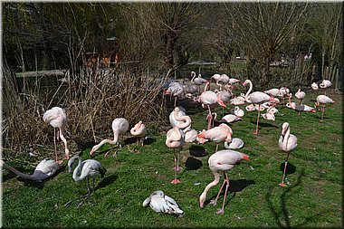 160402-ZOO-044.JPG