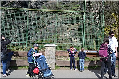 160402-ZOO-139.JPG