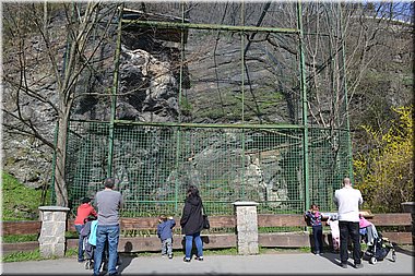 160402-ZOO-141.JPG