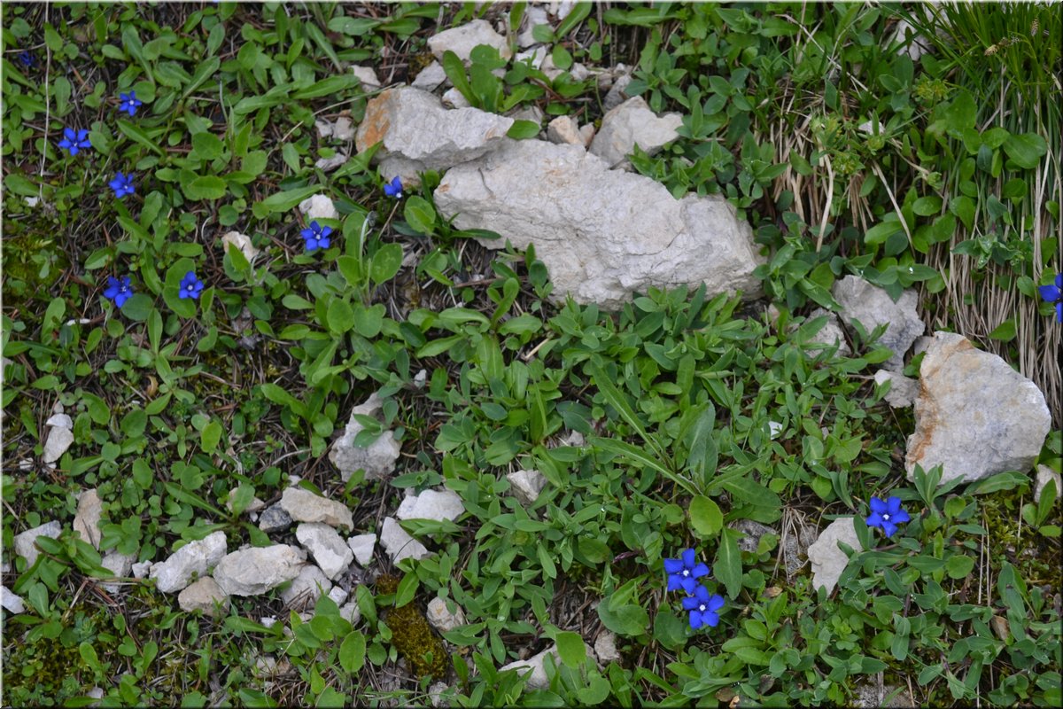 160612-Garmisch1Osterfelderkopf_Brc-093.JPG