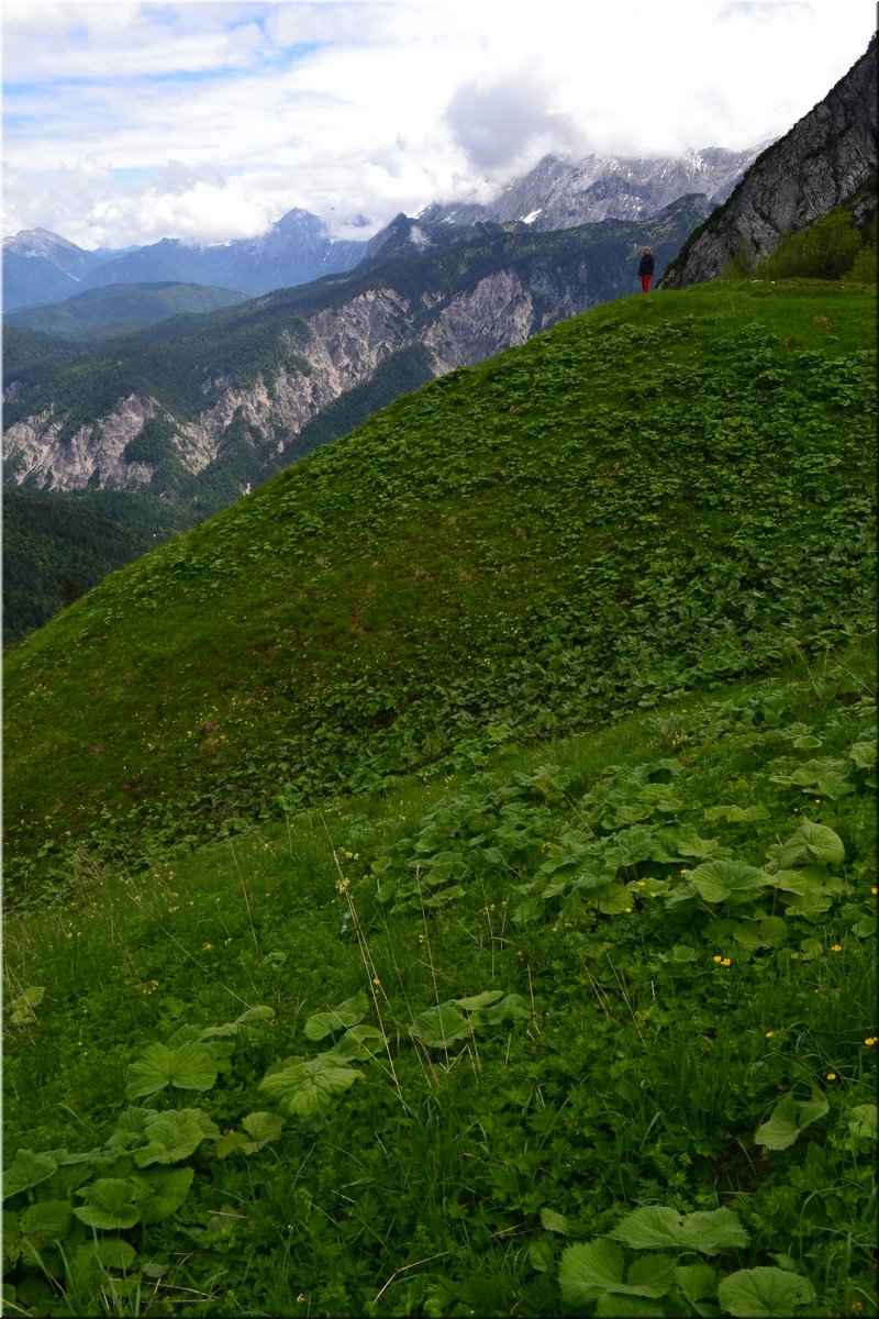 160612-Garmisch1Osterfelderkopf_Brc-126.JPG