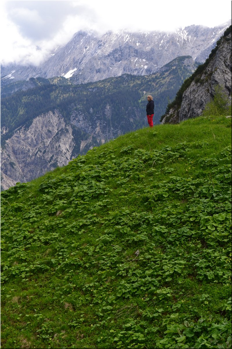 160612-Garmisch1Osterfelderkopf_Brc-129.JPG