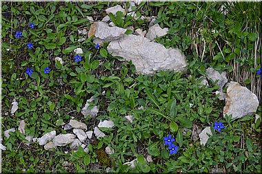 160612-Garmisch1Osterfelderkopf_Brc-093.JPG