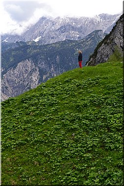 160612-Garmisch1Osterfelderkopf_Brc-129.JPG