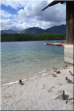 160612-Garmisch2Eibsee_Brc-201.JPG