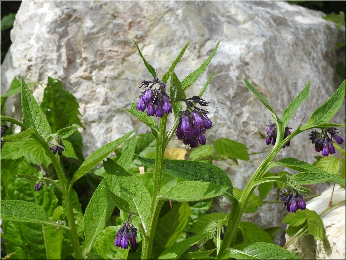 160613-Garmisch2Partnachklamm_Stoupa-5843.JPG