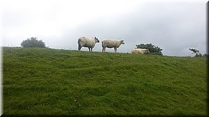 160715-SevNemecko-121934_Jmob.jpg