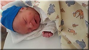 170120-SimonFiala-Podoli-2.jpg
