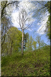 170501-Vysker-083_Brc.JPG