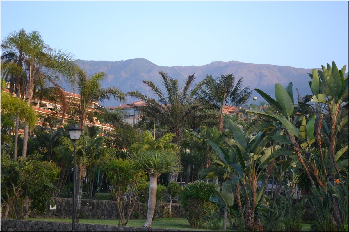 171011-Tenerife-0387.JPG
