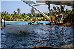 171011-Tenerife-0220.JPG