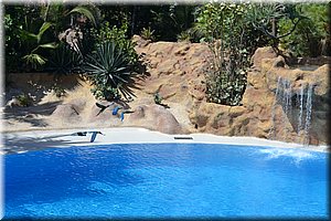 171011-Tenerife-0223.JPG