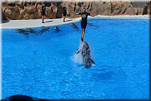 171011-Tenerife-0238.JPG