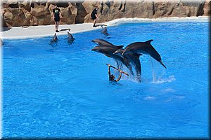 171011-Tenerife-0240.JPG