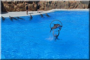 171011-Tenerife-0243.JPG