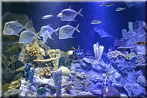 171011-Tenerife-0304.JPG